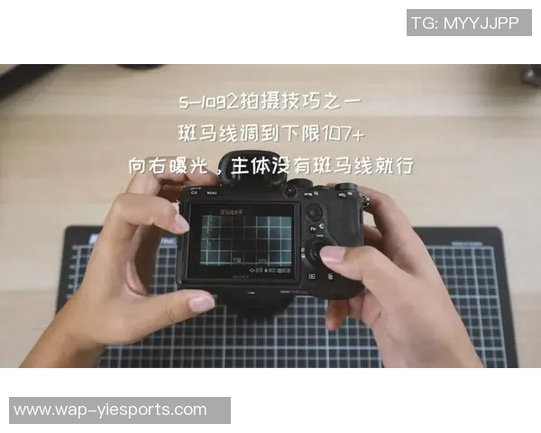 和平精英战术FPX防守体系解析与实战应用技巧分享