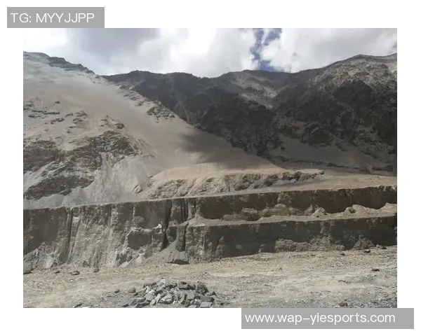 深度探讨杨强在英雄联盟中的成长与挑战之路