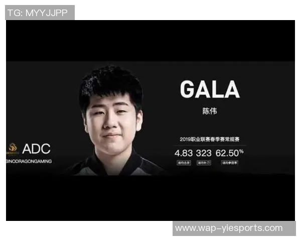 陈伟畅谈王者荣耀发展历程与未来展望的深度专访回顾