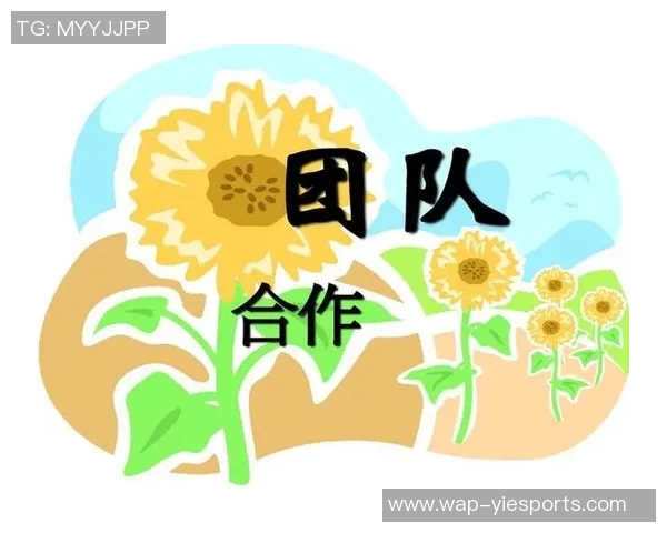 深入探讨RNG战队在数据分析中的团队协作表现与优化策略