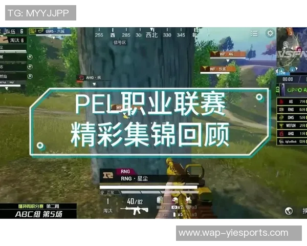 电竞新闻S15LOL赛事比分揭晓和平精英状态排行榜RNG荣登第七位引发热议